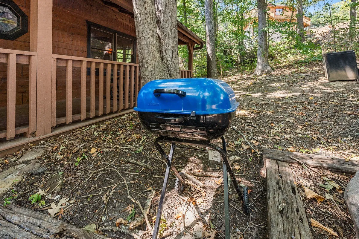 The image shows a wooden cabin in a natural setting, featuring a blue grill in the foreground and a spacious area for outdoor dining and group activities. The scene feels casual and welcoming, ideal for family or event gatherings.